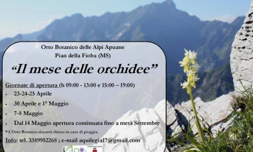 Pian della Fioba, orto botanico: "Il mese delle orchidee"