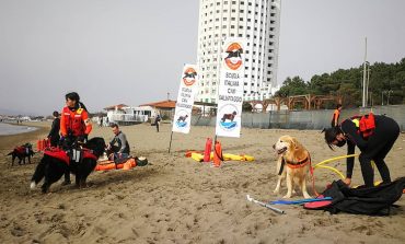 La Scuola Italiana Cani Salvataggio apre un campo addestramento a Marina di Massa
