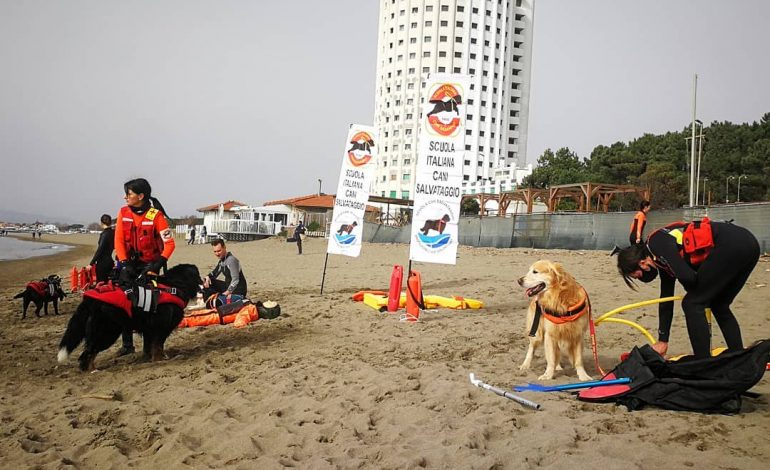 La Scuola Italiana Cani Salvataggio apre un campo addestramento a Marina di Massa